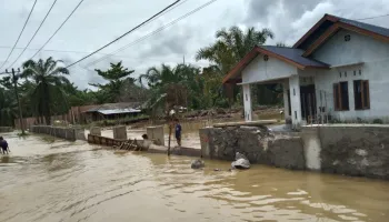 Audit Kinerja: Menilai dan Meningkatkan Efektivitas Organisasi